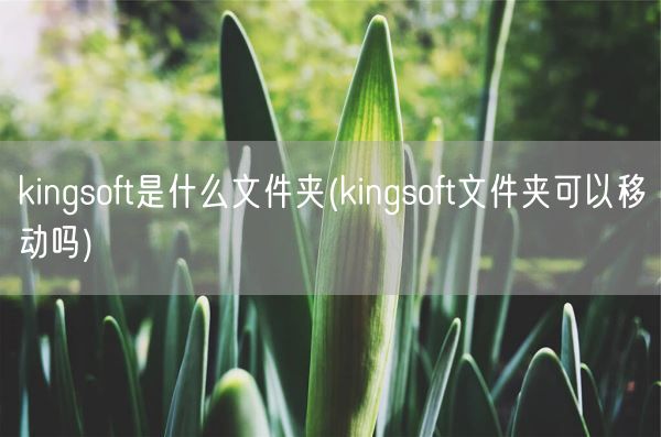 kingsoft是什么文件夹(kingsoft文件夹可以移动吗)(图1)