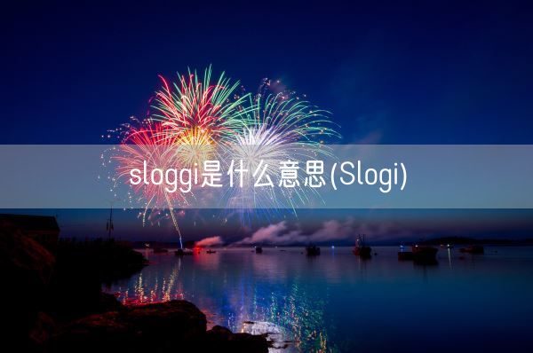 sloggi是什么意思(Slogi)(图1)