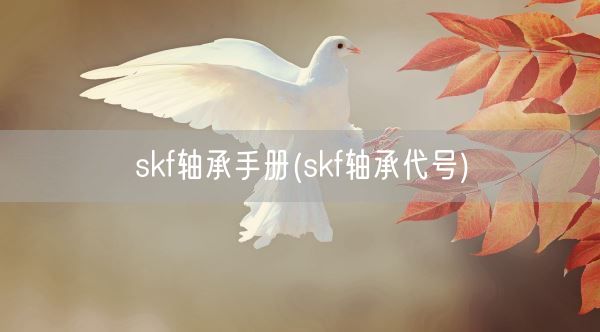 skf轴承手册(skf轴承代号)(图1)