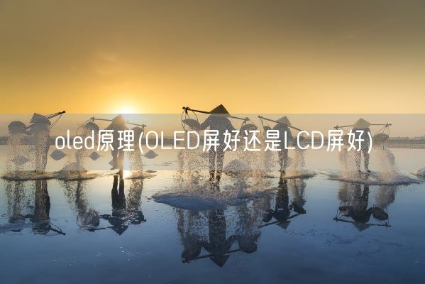 oled原理(OLED屏好还是LCD屏好)(图1) oled原理(OLED屏好还是LCD屏好)(图1)