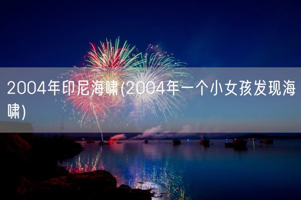 2004年印尼海啸(2004年一个小女孩发现海啸)(图1) 2004年印尼海啸(2004年一个小女孩发现海啸)(图1)