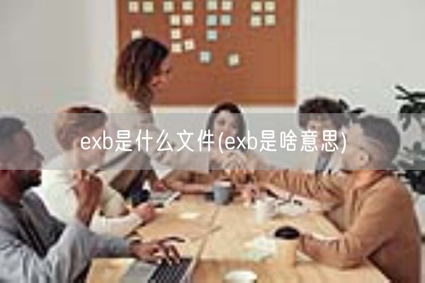 exb是什么文件(exb是啥意思)(图1)