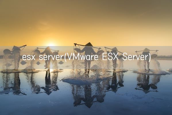 esx server(VMware ESX Server)(图1)