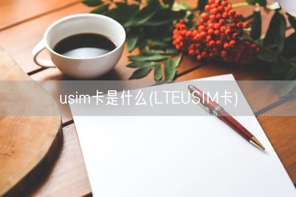 usim卡是什么(LTEUSIM卡)(图1)