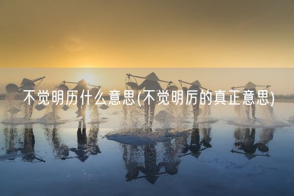 不觉明历什么意思(不觉明厉的真正意思)(图1)