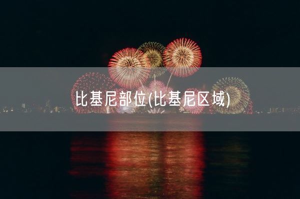比基尼部位(比基尼区域)(图1) 比基尼部位(比基尼区域)(图1)