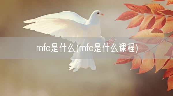 mfc是什么(mfc是什么课程)(图1) mfc是什么(mfc是什么课程)(图1)