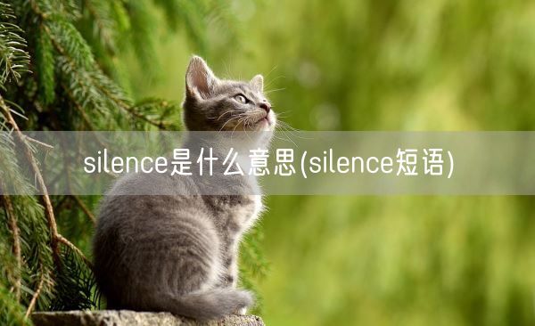 silence是什么意思(silence短语)(图1)