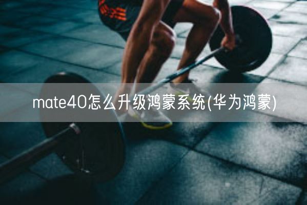 mate40怎么升级鸿蒙系统(华为鸿蒙)(图1)