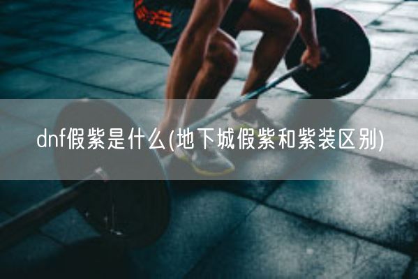 dnf假紫是什么(地下城假紫和紫装区别)(图1)