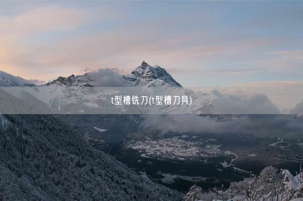 t型槽铣刀(t型槽刀具)(图1)