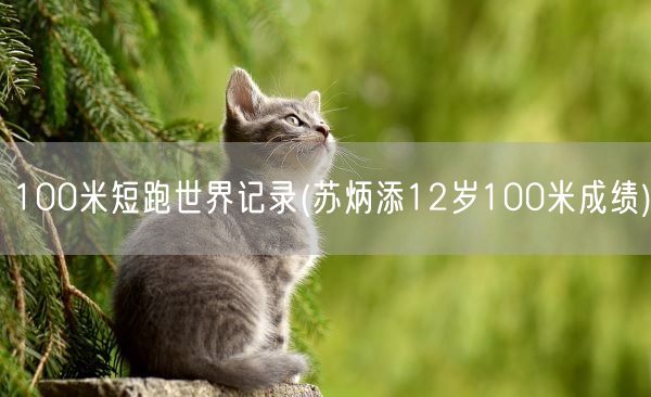 100米短跑世界记录(苏炳添12岁100米成绩)(图1)