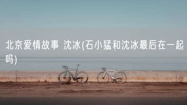 北京爱情故事 沈冰(石小猛和沈冰最后在一起吗)(图1)