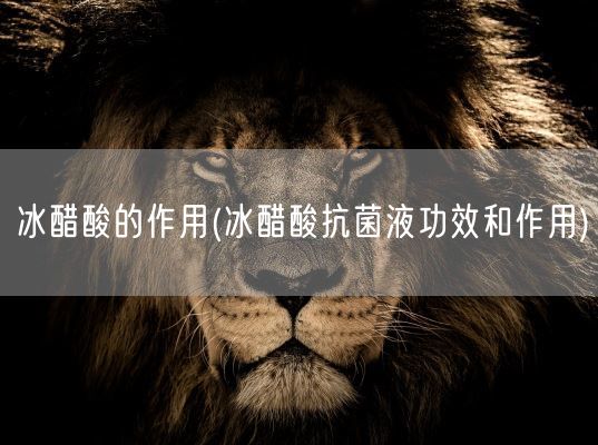 冰醋酸的作用(冰醋酸抗菌液功效和作用)(图1)