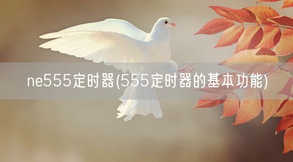 ne555定时器(555定时器的基本功能)(图1)