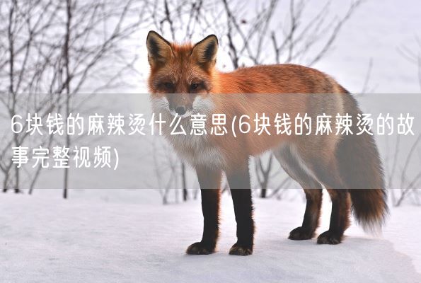 6块钱的麻辣烫什么意思(6块钱的麻辣烫的故事完整视频)(图1) 6块钱的麻辣烫什么意思(6块钱的麻辣烫的故事完整视频)(图1)