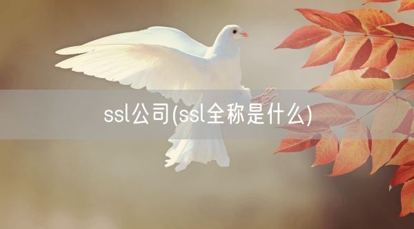 ssl公司(ssl全称是什么)(图1)