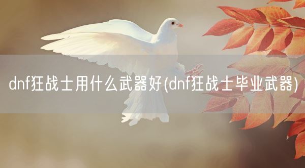 dnf狂战士用什么武器好(dnf狂战士毕业武器)(图1)