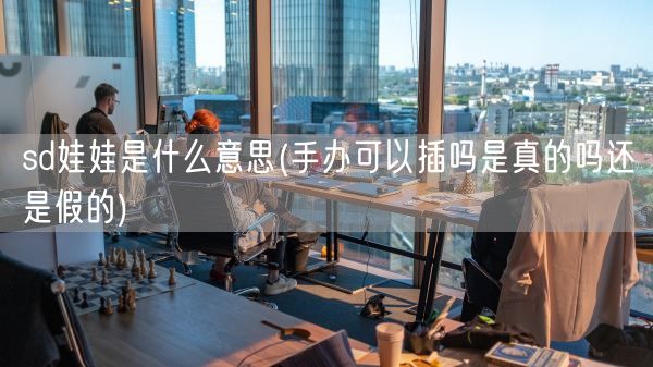 sd娃娃是什么意思(手办可以插吗是真的吗还是假的)(图1) sd娃娃是什么意思(手办可以插吗是真的吗还是假的)(图1)