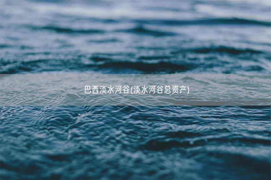 巴西淡水河谷(淡水河谷总资产)(图1) 巴西淡水河谷(淡水河谷总资产)(图1)