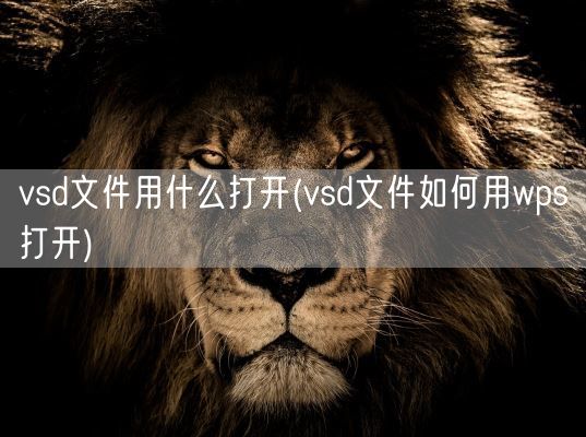 vsd文件用什么打开(vsd文件如何用wps打开)(图1)