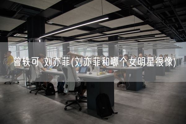 曾轶可 刘亦菲(刘亦菲和哪个女明星很像)(图1)