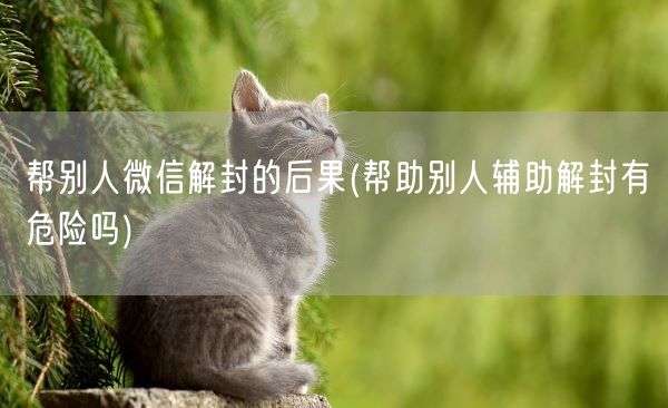 帮别人微信解封的后果(帮助别人辅助解封有危险吗)(图1)