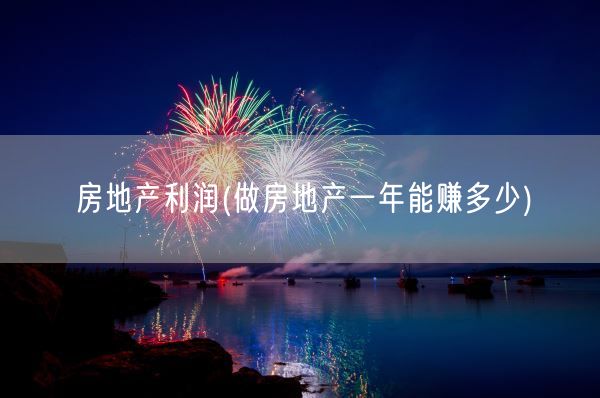 房地产利润(做房地产一年能赚多少)(图1) 房地产利润(做房地产一年能赚多少)(图1)