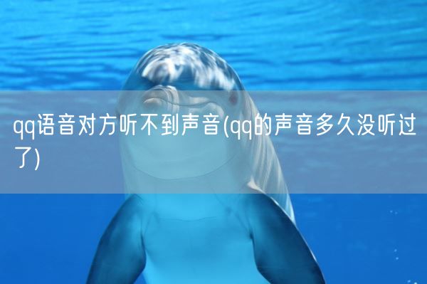 qq语音对方听不到声音(qq的声音多久没听过了)(图1) qq语音对方听不到声音(qq的声音多久没听过了)(图1)