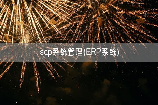 sap系统管理(ERP系统)(图1) sap系统管理(ERP系统)(图1)