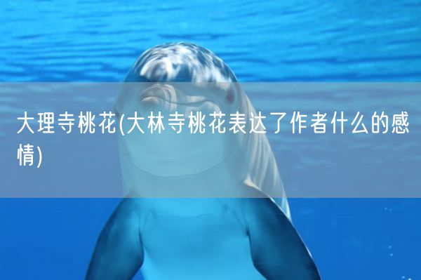 大理寺桃花(大林寺桃花表达了作者什么的感情)(图1)