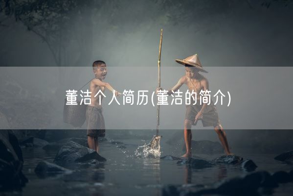 董洁个人简历(董洁的简介)(图1)
