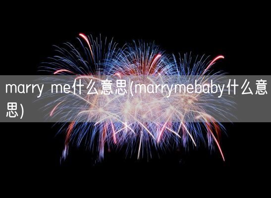 marry me什么意思(marrymebaby什么意思)(图1)