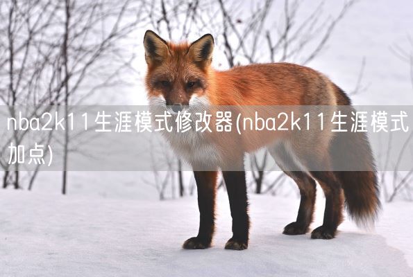 nba2k11生涯模式修改器(nba2k11生涯模式加点)(图1) nba2k11生涯模式修改器(nba2k11生涯模式加点)(图1)