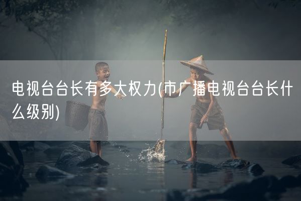 电视台台长有多大权力(市广播电视台台长什么级别)(图1) 电视台台长有多大权力(市广播电视台台长什么级别)(图1)