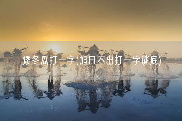 矮冬瓜打一字(旭日不出打一字谜底)(图1)