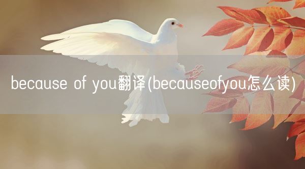 because of you翻译(becauseofyou怎么读)(图1) because of you翻译(becauseofyou怎么读)(图1)
