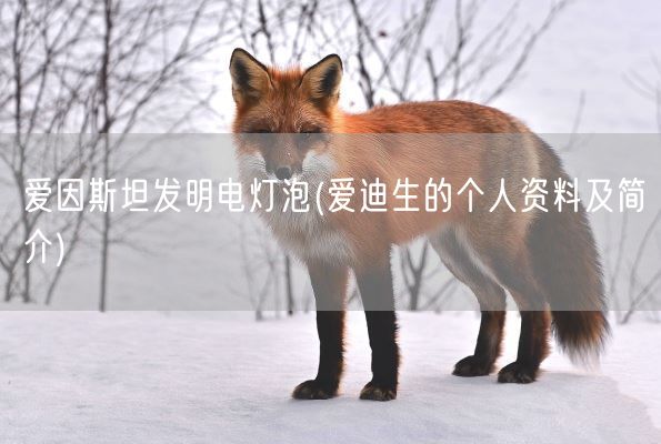 爱因斯坦发明电灯泡(爱迪生的个人资料及简介)(图1) 爱因斯坦发明电灯泡(爱迪生的个人资料及简介)(图1)