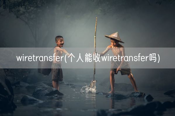 wiretransfer(个人能收wiretransfer吗)(图1)