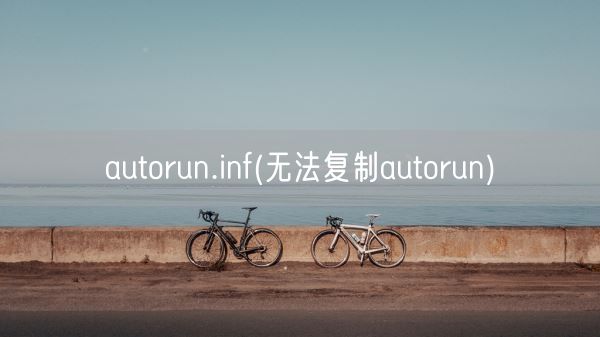 autorun.inf(无法复制autorun)(图1)