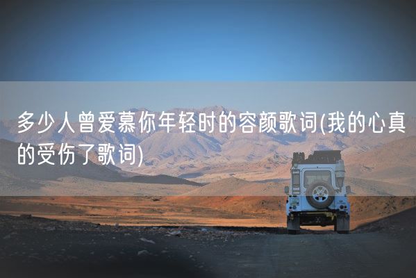 多少人曾爱慕你年轻时的容颜歌词(我的心真的受伤了歌词)(图1)