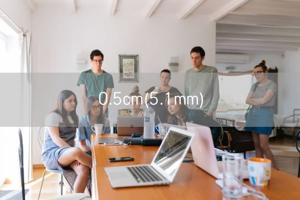 0.5cm(5.1mm)(图1) 0.5cm(5.1mm)(图1)