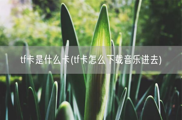tf卡是什么卡(tf卡怎么下载音乐进去)(图1) tf卡是什么卡(tf卡怎么下载音乐进去)(图1)