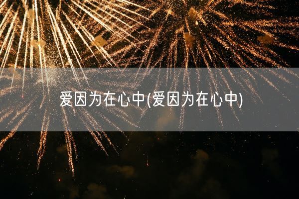 爱因为在心中(爱因为在心中)(图1)