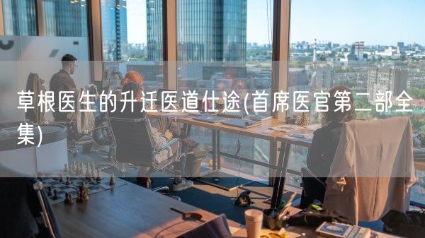 草根医生的升迁医道仕途(首席医官第二部全集)(图1)