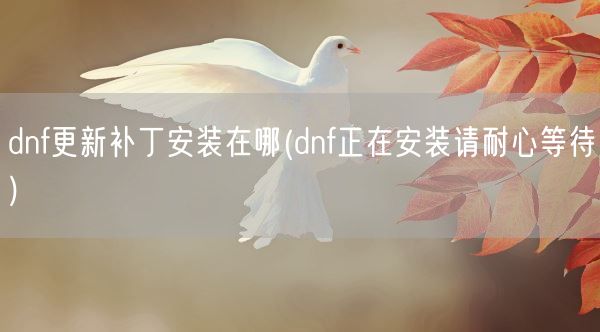 dnf更新补丁安装在哪(dnf正在安装请耐心等待)(图1)