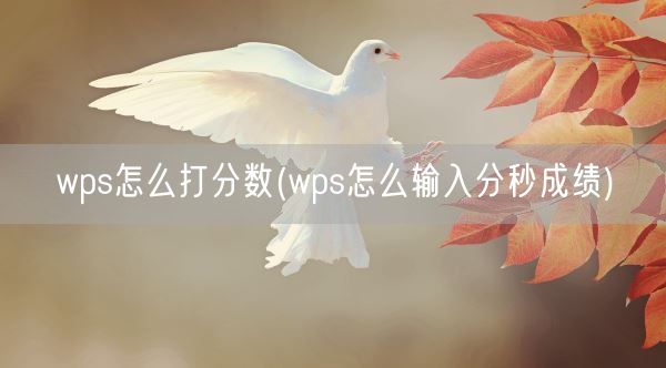 wps怎么打分数(wps怎么输入分秒成绩)(图1)