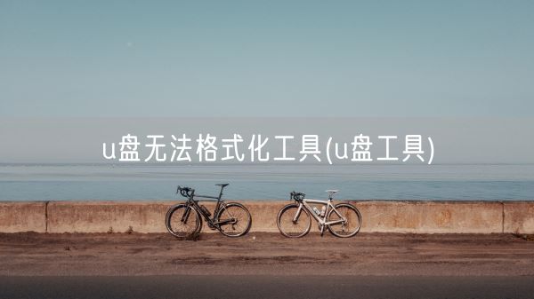 u盘无法格式化工具(u盘工具)(图1) u盘无法格式化工具(u盘工具)(图1)