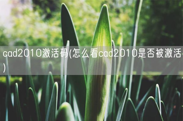cad2010激活码(怎么看cad2010是否被激活)(图1) cad2010激活码(怎么看cad2010是否被激活)(图1)
