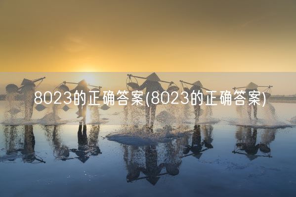 8023的正确答案(8023的正确答案)(图1)